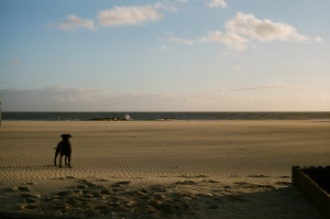 feb2019_f2_fuji400proh+1_web-22940014