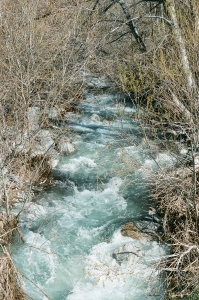 feb2019_f2_fuji400proh+1_web-22940017