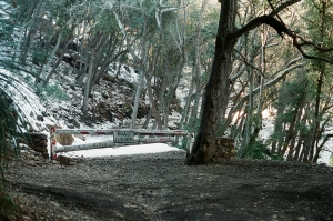 feb2019_f2_fuji400proh+1_web-22940019