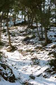 feb2019_f2_fuji400proh+1_web-22940020