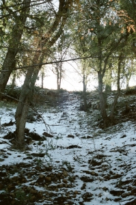 feb2019_f2_fuji400proh+1_web-22940021