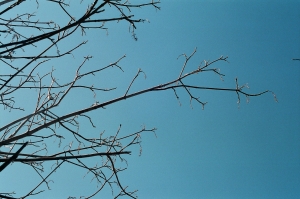 feb2019_f2_fuji400proh+1_web-22940025