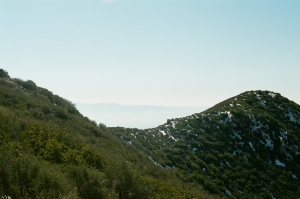 feb2019_f2_fuji400proh+1_web-22940027