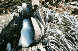 feb2019_f2_fuji400proh+1_web-22940031