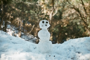 feb2019_f2_fuji400proh+1_web-22940033