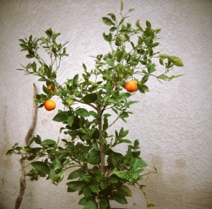 feb2019_lbtl_provia100_web-22950001