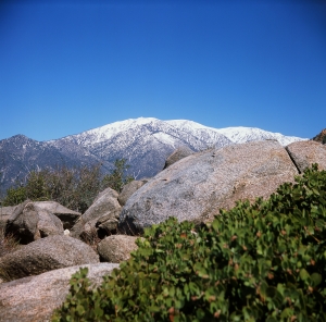 feb2019_lbtl_provia100_web-22950004