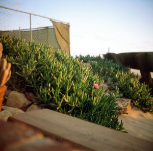 feb2019_lbtl_provia100_web-22950005