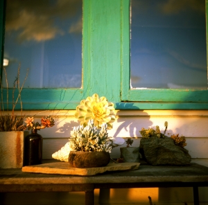 feb2019_lbtl_provia100_web-22950007
