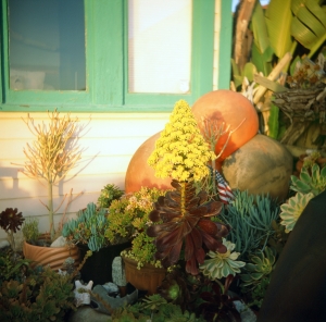 feb2019_lbtl_provia100_web-22950008