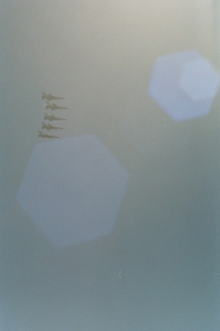 000090580020