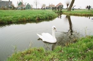 honeymoon_HLT-000009080030
