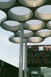 honeymoon_HLT-000009110036