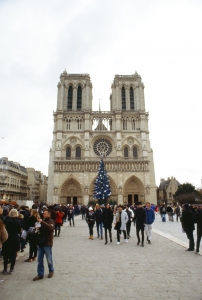 honeymoon_HLT-000022810031