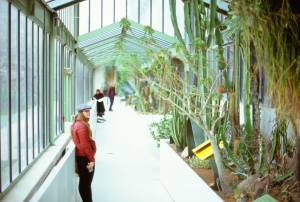 honeymoon_HLT-000022820028