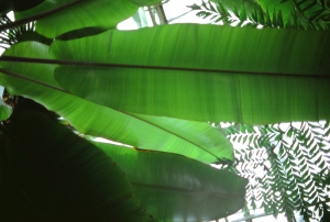 honeymoon_HLT-000022820031
