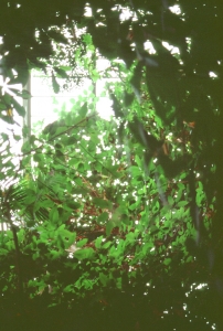 honeymoon_HLT-000022820034