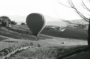 sac_temecula_ilford400_WEB-000019640024