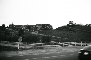 sac_temecula_ilford400_WEB-000019640032
