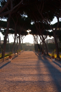 italy_web-1085