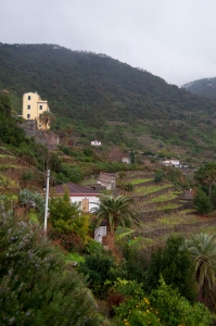 italy_web-1441