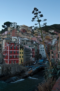 italy_web-1485