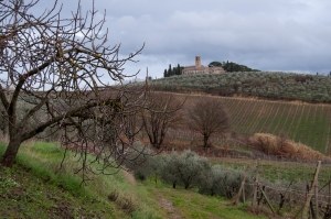 italy_web-1789