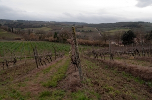 italy_web-1792