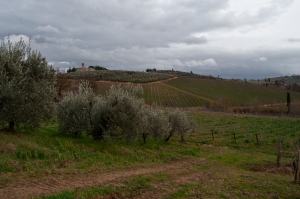 italy_web-1794