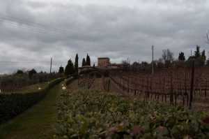 italy_web-1797