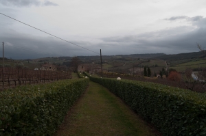 italy_web-1801