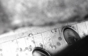 italy_film_web_BW-008