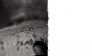 italy_film_web_BW-009