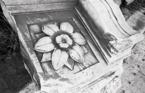 italy_film_web_BW-029