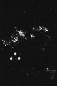 italy_film_web_BW-055