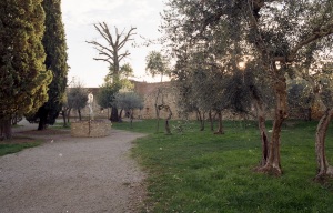italy_film_web_C41-018