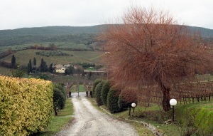 italy_film_web_C41-039