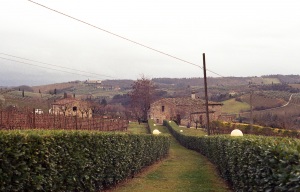 italy_film_web_C41-045