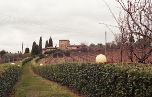 italy_film_web_C41-046