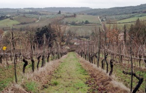 italy_film_web_C41-049