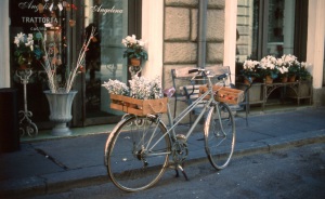 italy_film_web_E6-002