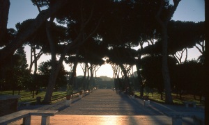 italy_film_web_E6-008