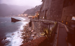 italy_film_web_E6-041