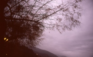 italy_film_web_E6-043