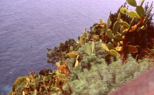 italy_film_web_E6-051