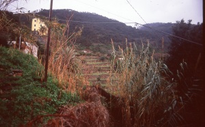 italy_film_web_E6-057