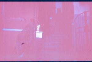 italy_film_web_E6-067
