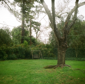 lbtl_sactown_portra800_WEB-000019620008