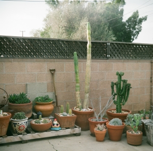lubitel_firstWEB-13380001