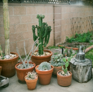 lubitel_firstWEB-13380003